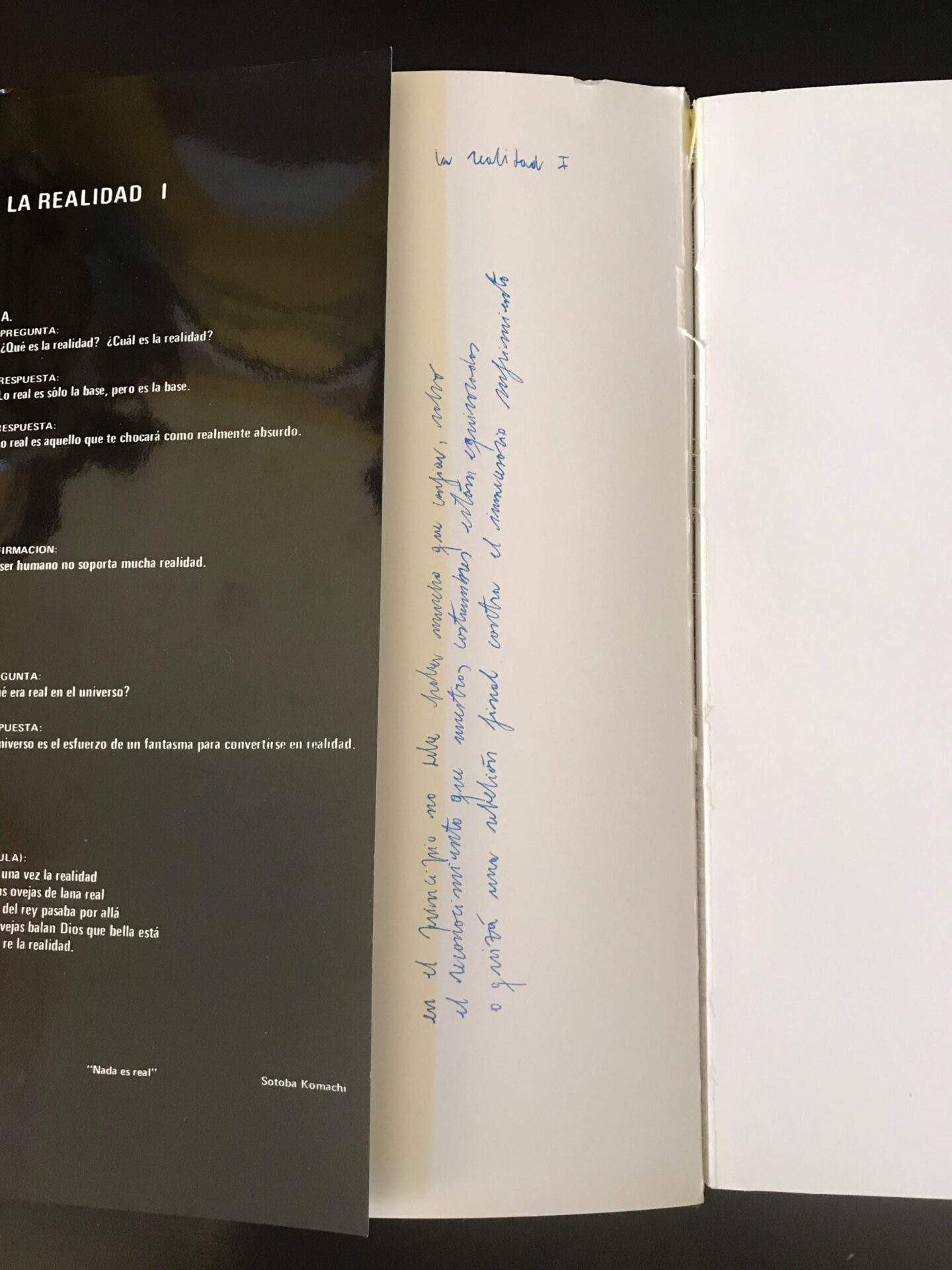 Ricardo Cárcamo: "Las anotaciones manuscritas de La nueva novela del 2017 son mías": Una conversación con Scott Weintraub