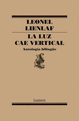 La luz cae vertical de Leonel Lienlaf