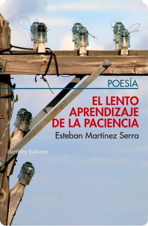 El lento aprendizaje de la paciencia by Esteban Martínez Serra