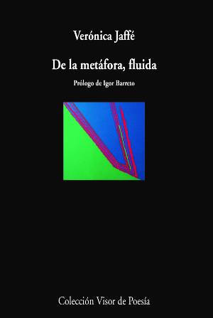 De la metáfora, fluida by Verónica Jaffé