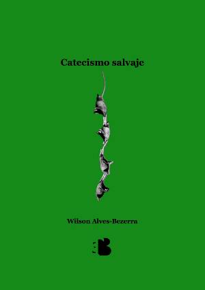 Catecismo salvaje/Catecismo moreninho by Wilson Alves-Bezerra, translated by Jesús Montoya