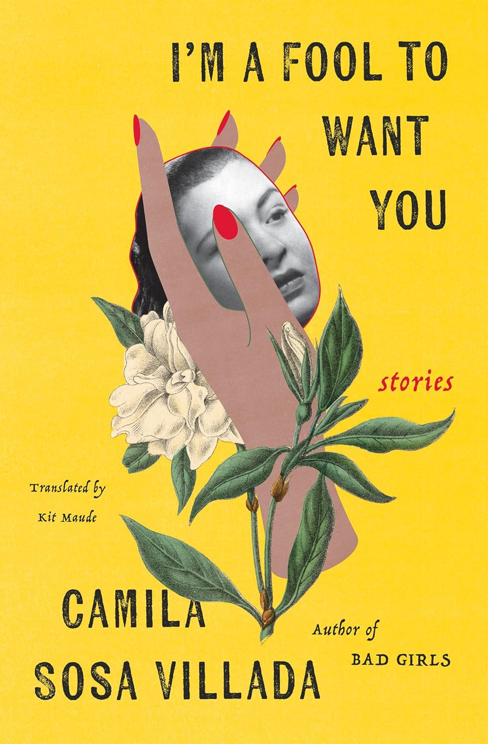 I’m a Fool to Want You by Camila Sosa Villada, translated by Kit Maude