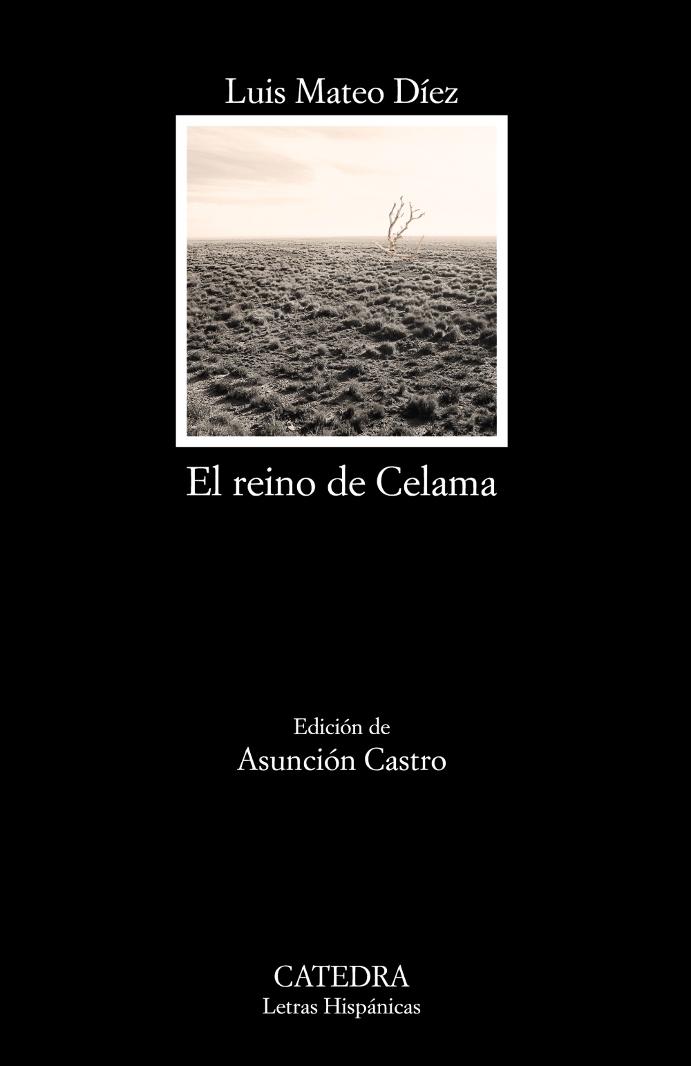“In my work, the rural world has a legendary dimension”: A Conversation with Luis Mateo Díez