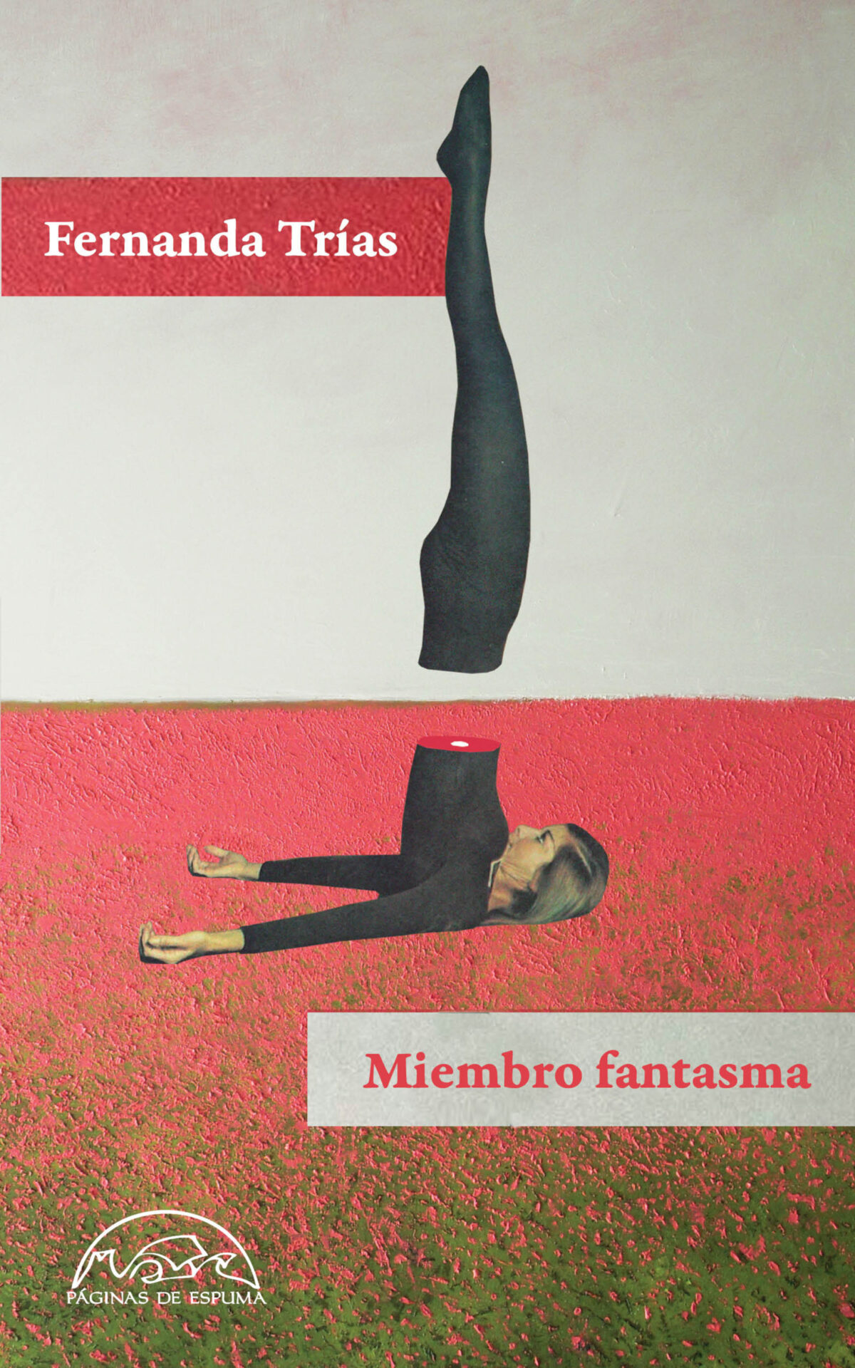 Working with the Hidden Story and Weaving Together All That Remains Unseen: A Conversation with Fernanda Trías on Miembro fantasma 1 Working with the Hidden Story and Weaving Together All That Remains Unseen: A Conversation with Fernanda Trías on Miembro fantasma
